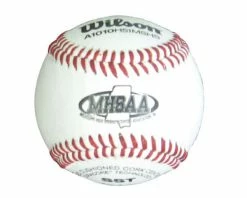 Wilson A1010 Baseballs MS (Dz.)